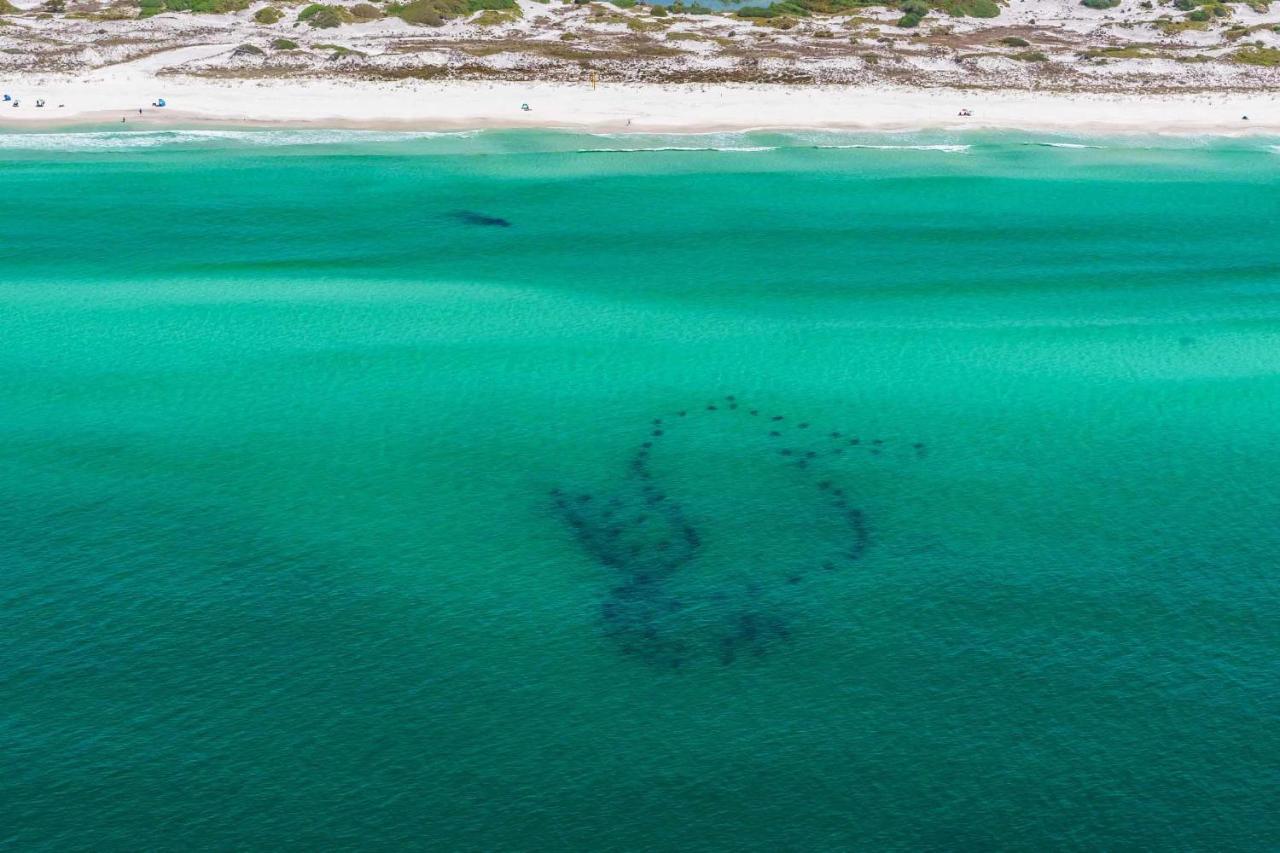 Surfin' Turtle Villa Santa Rosa Beach Buitenkant foto